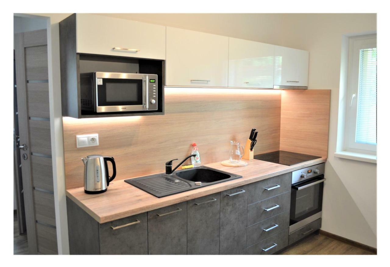 Sgl Apartments Lavickova Trencin Exterior foto